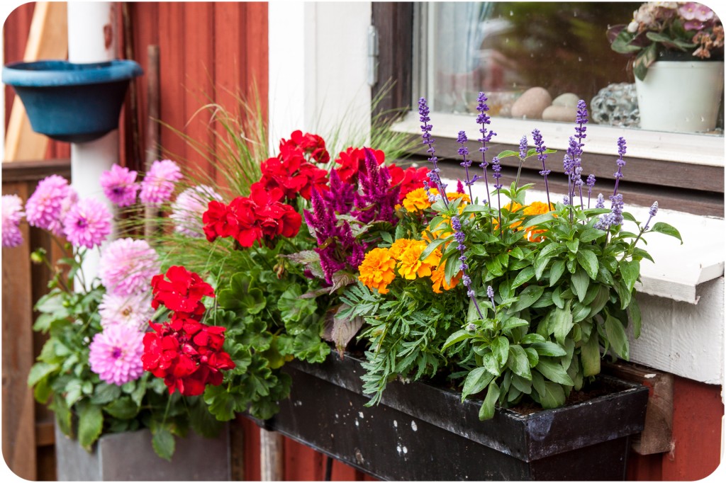 Blomsterlåda